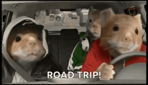 unnamed.gif
