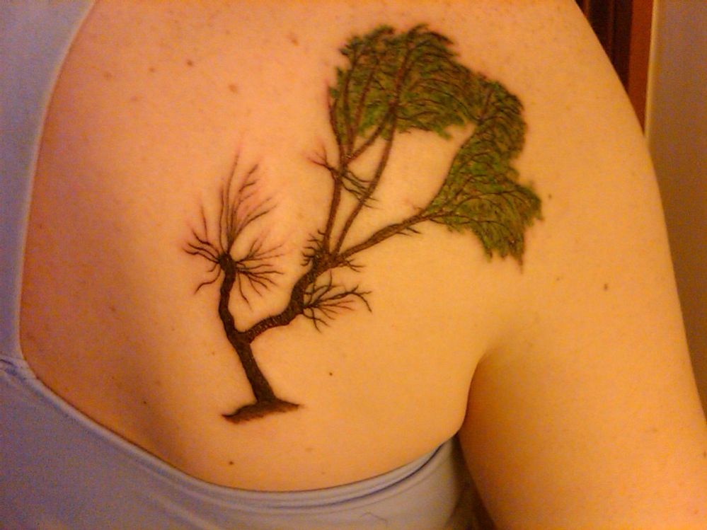 IMG00004-20100506-2053.JPG