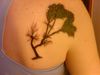 IMG00004-20100506-2053.JPG