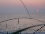 DSC01692.JPG