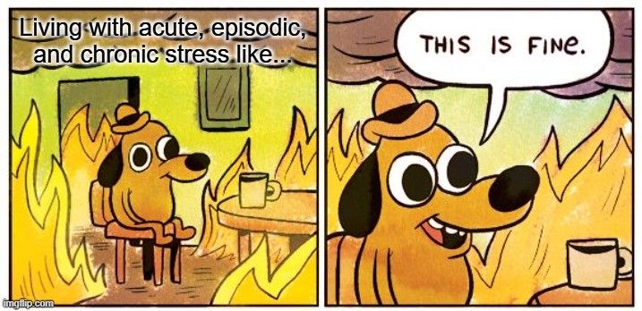 this is fine.jpg