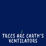 tree_giphy.gif