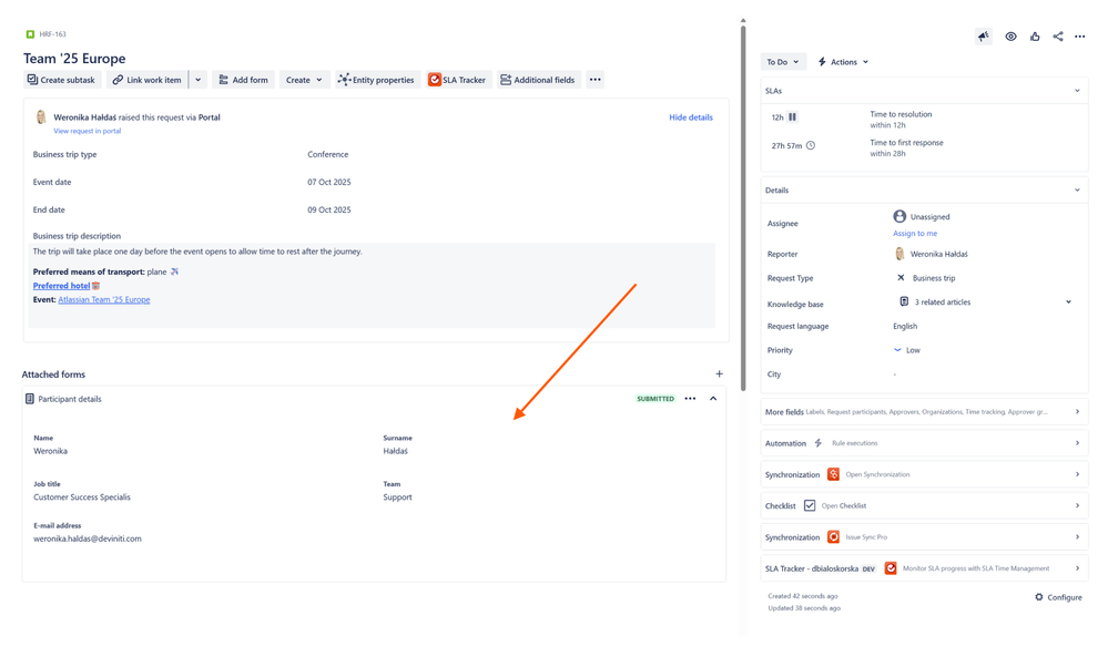 issue view forms (1).png