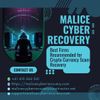 cyber.jpg