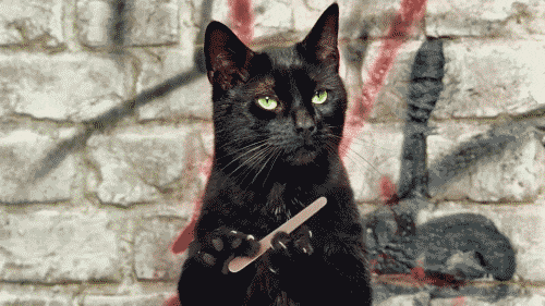 Black Cat GIF.gif