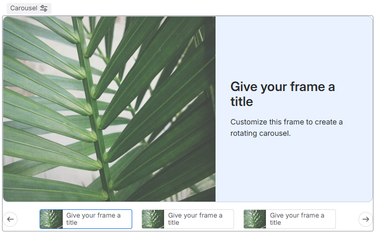 Carousel frames.png