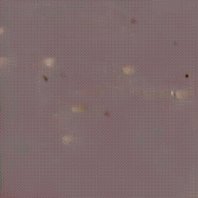 Adobe Express - 103C1DC4-8D94-4D0E-885D-9BBCA912165D.gif