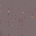 Adobe Express - 103C1DC4-8D94-4D0E-885D-9BBCA912165D.gif