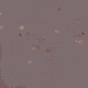 Adobe Express - 103C1DC4-8D94-4D0E-885D-9BBCA912165D.gif