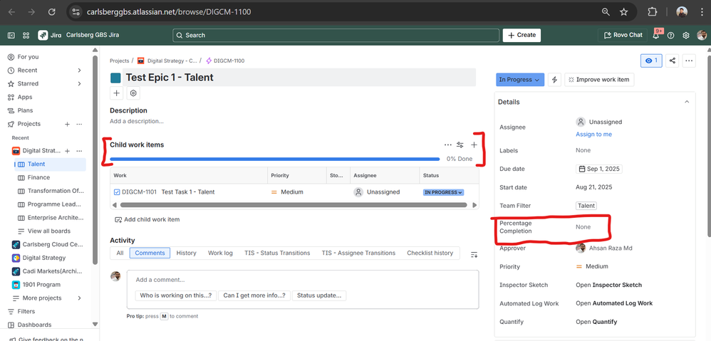 Jira view.png
