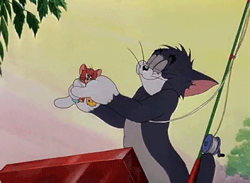 0_B9wUVveAt9Yqr14C.gif