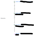Hierarchy App - Screenshot 2025-08-27 084758.png