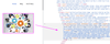 image (10).png