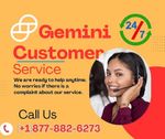 gemini support.jpg
