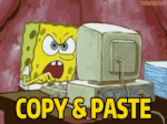 copy-paste.gif