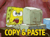 copy-paste.gif