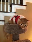 IMG_0099.jpeg