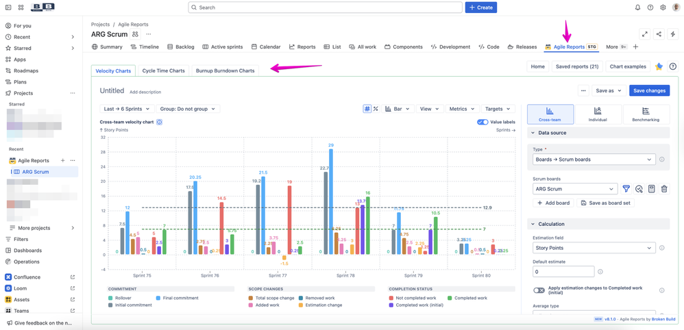 Standalone reports on the project page.png
