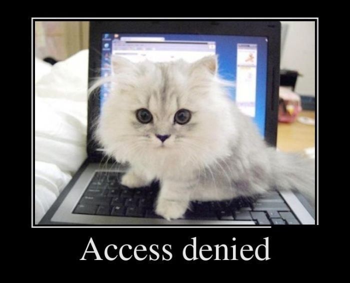 access denied.jpg