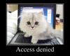 access denied.jpg