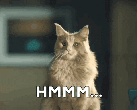 Cat GIF by KPN.gif