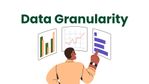Data Granularity.jpg