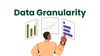 Data Granularity.jpg