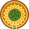 sonnenblume.png