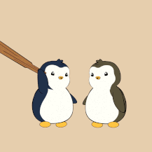 gif 5.gif
