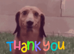 gif 6.gif