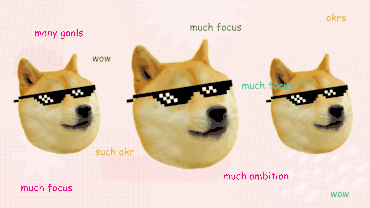 okrs_doge_zoom.gif