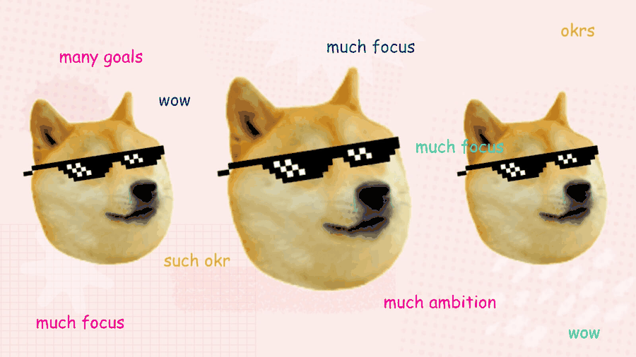 okrs_doge_zoom.gif