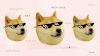 okrs_doge_zoom.gif