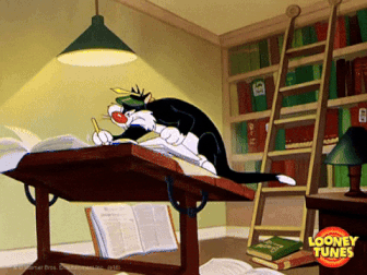 giphy (22).gif