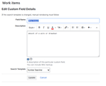 Configure Custom Field Details.png