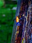 IMG_3659~3.jpg