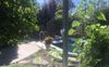 Secluded-window.s.jpg