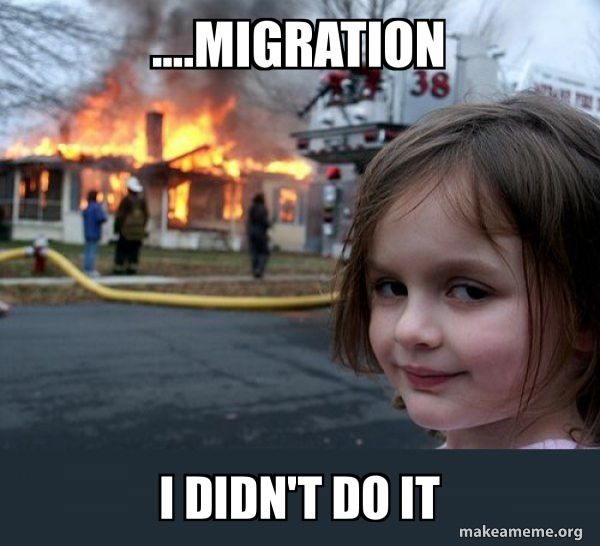 migration-i-didnt.jpg