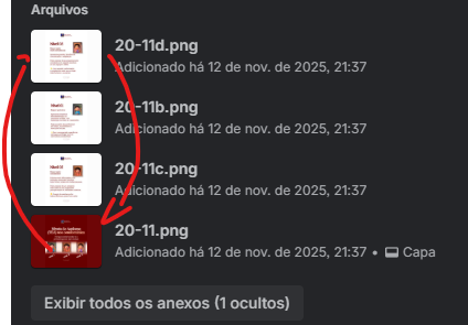 Captura de tela 2025-11-13 111004.png