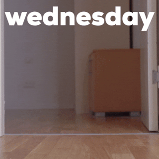 Wednesday Morning Dog GIF by Sealed With A GIF.gif