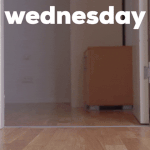 Wednesday Morning Dog GIF by Sealed With A GIF.gif