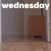 Wednesday Morning Dog GIF by Sealed With A GIF.gif