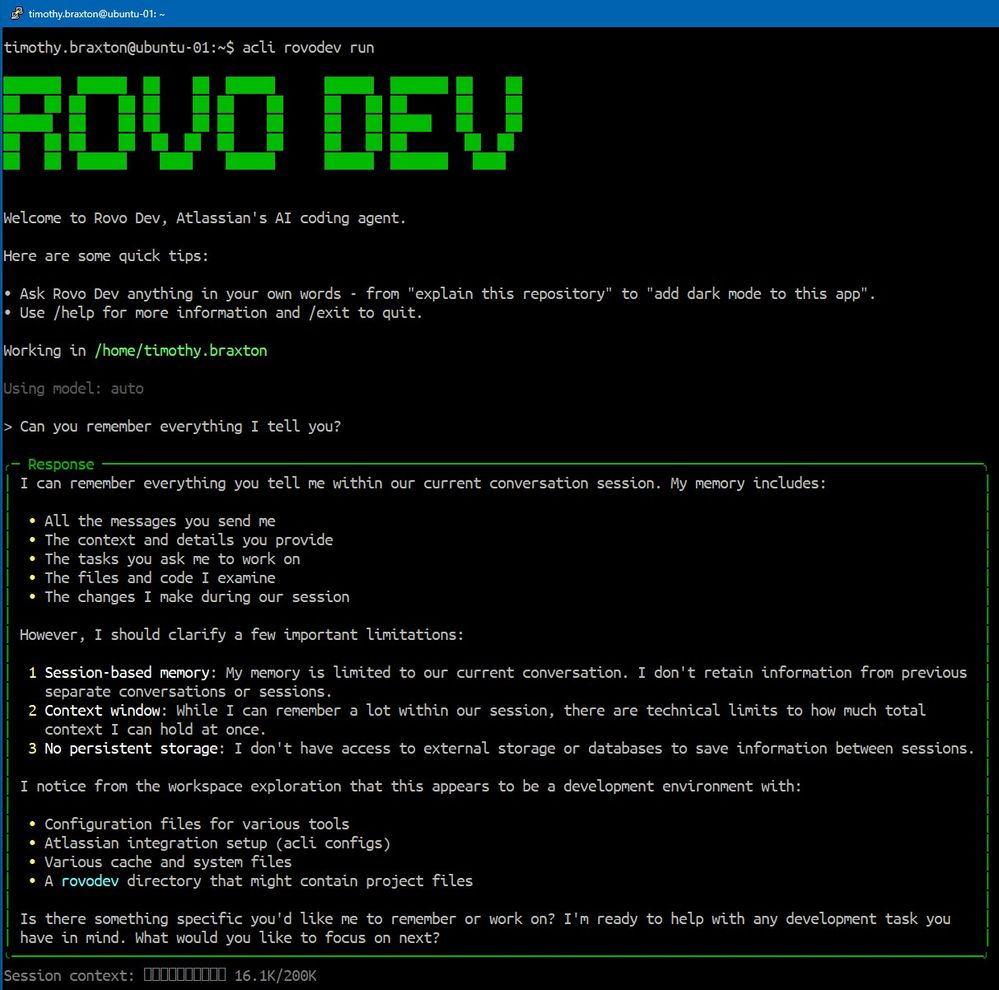 Can you remember.jpg