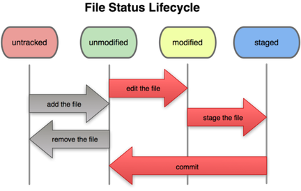file status cycle.png