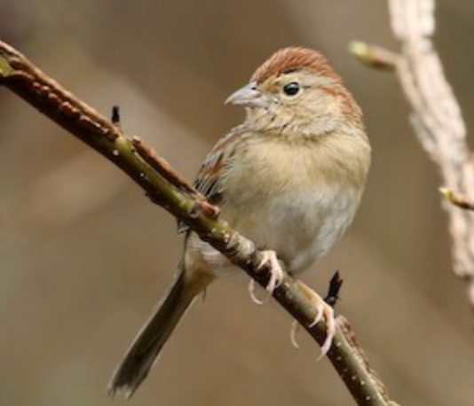 Screenshot 2025-12-17 at 12.44.16 PM.png