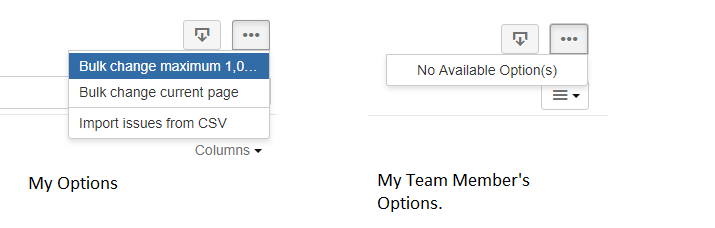 JIRAOptions.png