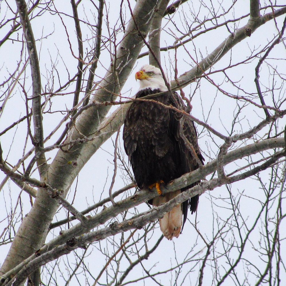 IMG_4843.JPG