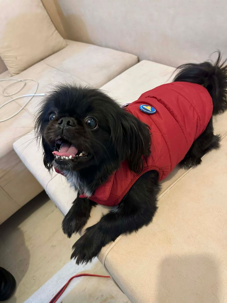 WhatsApp Image 2026-01-14 at 11.23.13 AM (1).jpeg