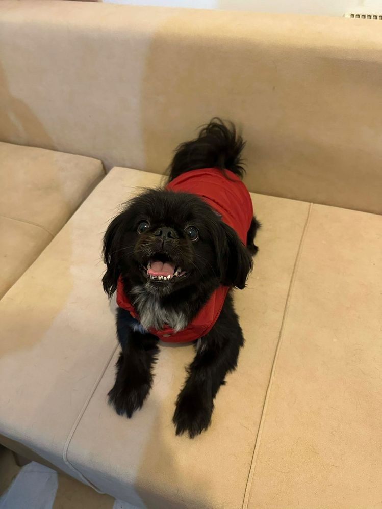 WhatsApp Image 2026-01-14 at 11.23.13 AM.jpeg