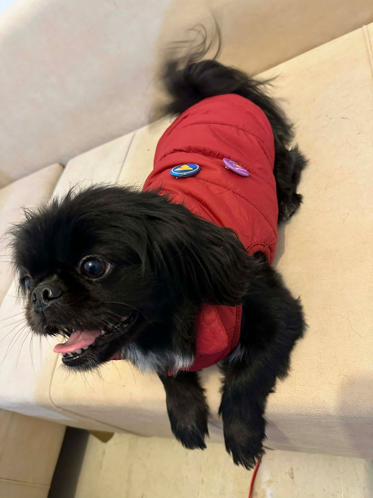 WhatsApp Image 2026-01-14 at 11.23.13 AM (2).jpeg